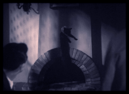 Miaou, que se passe-t-il ? Mais je vole !